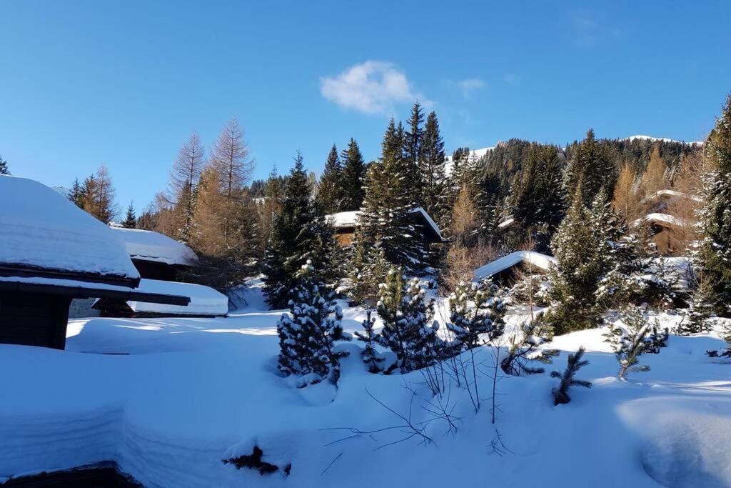 Chalet Wulli In Der Naehe Der Skianlagen Savognin Bagian luar foto
