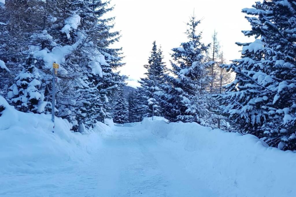 Chalet Wulli In Der Naehe Der Skianlagen Savognin Bagian luar foto