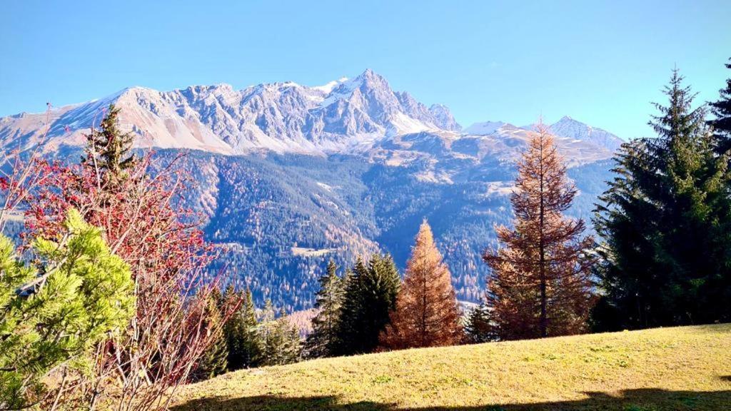 Chalet Wulli In Der Naehe Der Skianlagen Savognin Bagian luar foto