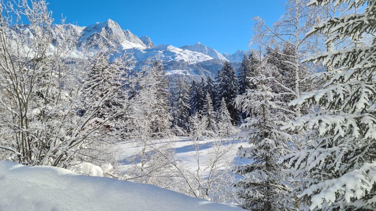 Chalet Wulli In Der Naehe Der Skianlagen Savognin Bagian luar foto